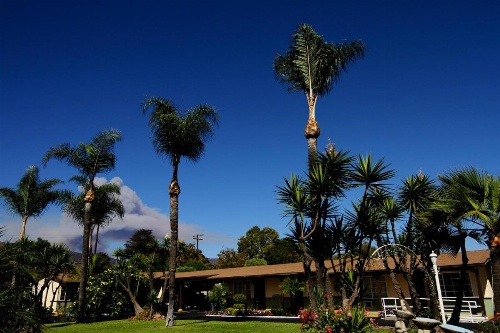Palm Tropics Motel image 18