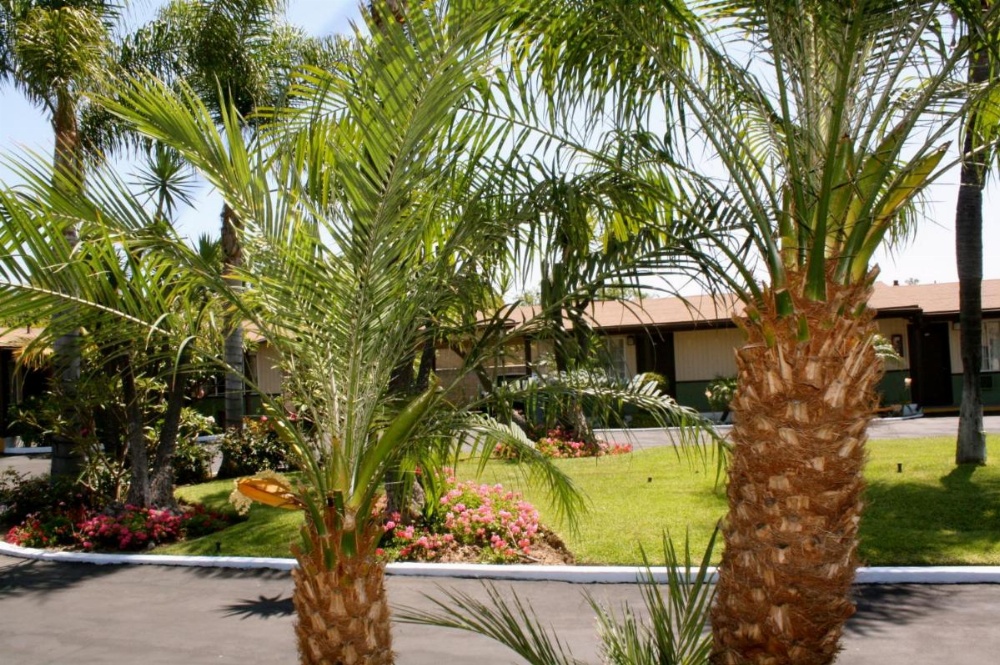 Palm Tropics Motel Image 20