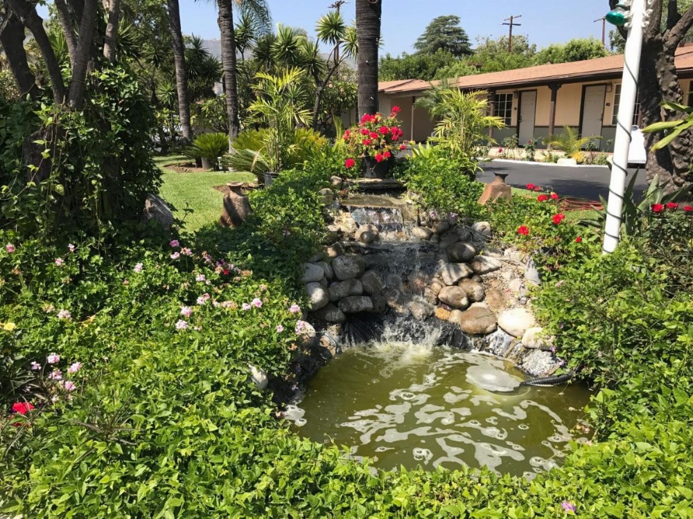 Palm Tropics Motel Image 22