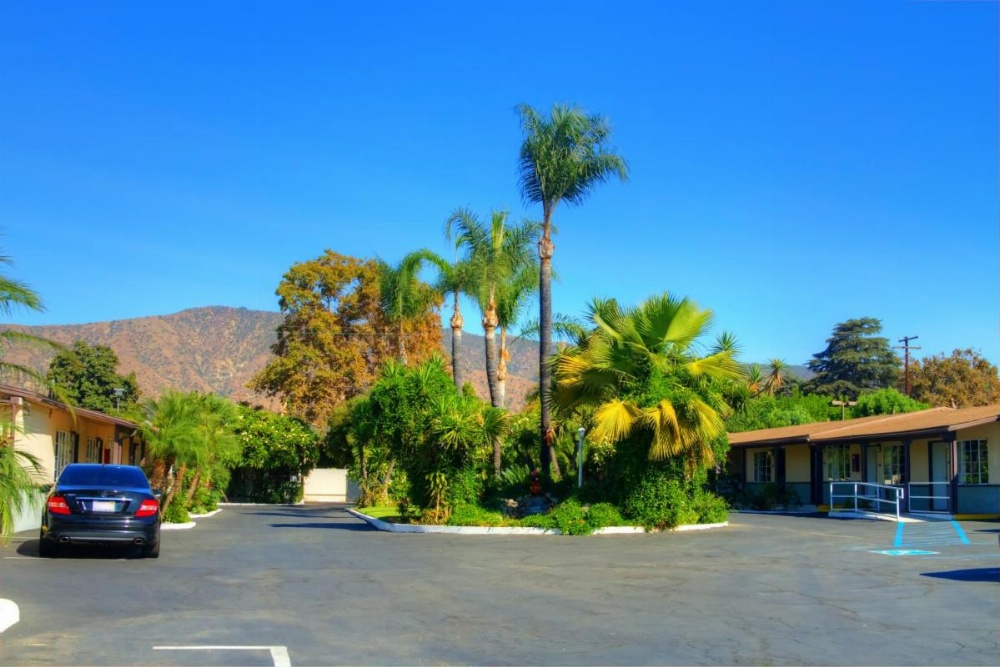 Palm Tropics Motel Image 23