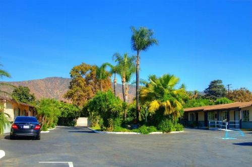 Palm Tropics Motel image 23
