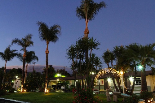 Palm Tropics Motel image 3