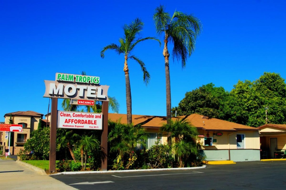 Palm Tropics Motel Image 31